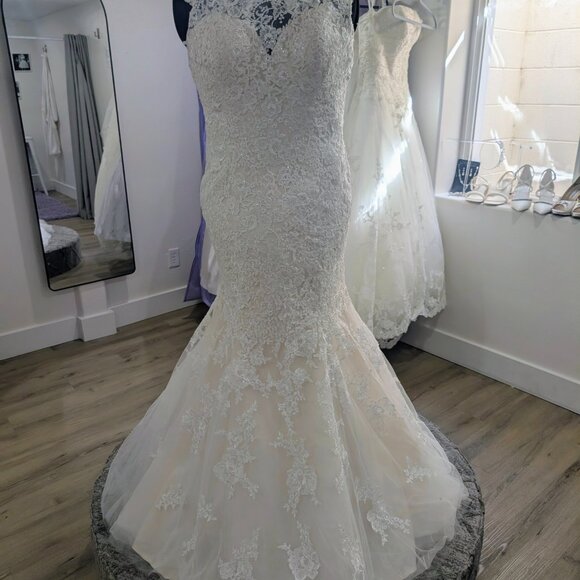 Allure Bridals Lace Fit and Flare Wedding Dress in Ivory - Picture 1 of 11